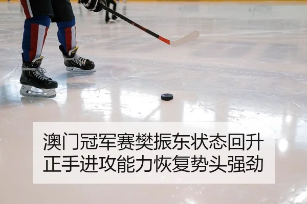 澳门冠军赛樊振东状态回升 正手进攻能力恢复势头强劲